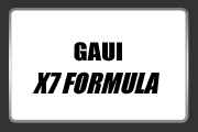 GAUI X7 FORMULA